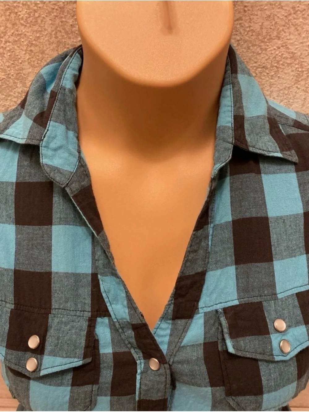 Cotton Express Blue and Black Gingham Dress